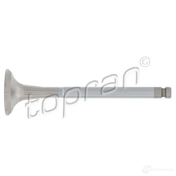 Выпускной клапан TOPRAN 100253 T 9RNW1L 2433157
