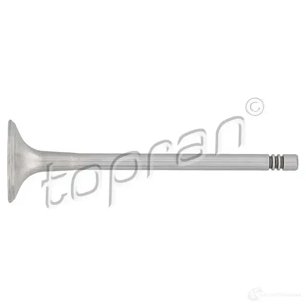 Выпускной клапан TOPRAN 2434586 107132 3NG7D5 R