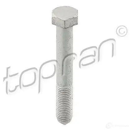 Болт TOPRAN NTZL GDV 1192236341 116940