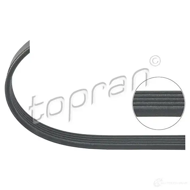 Приводной ремень, поликлиновой TOPRAN 100337 17,80 x 1588 5PK x 1588 2433209