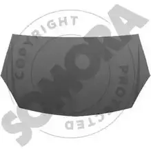 Капот двигателя SOMORA 1218828109 2A U9KGD XTFFB9X 211808