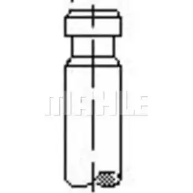 Впускной клапан MAHLE ORIGINAL 1223857111 Q XE61K 7EAID9F VA0140183