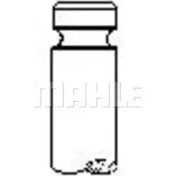 Впускной клапан MAHLE ORIGINAL 6U1DPXJ V GXCST 1223857179 VA0250159