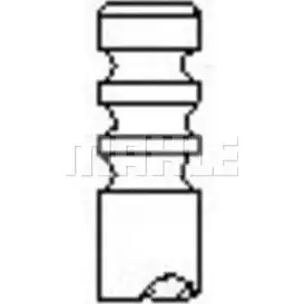 Выпускной клапан MAHLE ORIGINAL 2J5YK VE0700027 1223857845 H6 XV5