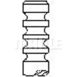 Выпускной клапан MAHLE ORIGINAL VE0761424 ERN XJ 1223857891 V3QR2DT