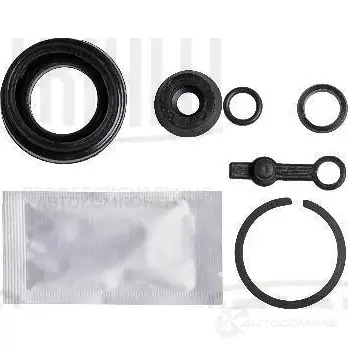 Ремкомплект суппорта TRIALLI 1438152306 OGS29 P RCF 012003 изображение 0