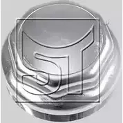 Колпак ступицы ST-TEMPLIN HS0N 5 1225431982 IYLMW 11.080.0244.450