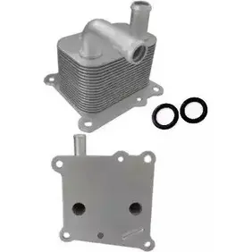 Масляный радиатор двигателя HOFFER 8095042S Z2UL2 1226023524 JWX1 Z5