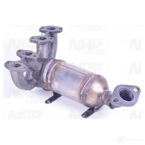 Катализатор NAP CARPARTS 3DFL V 1437613176 cak10228