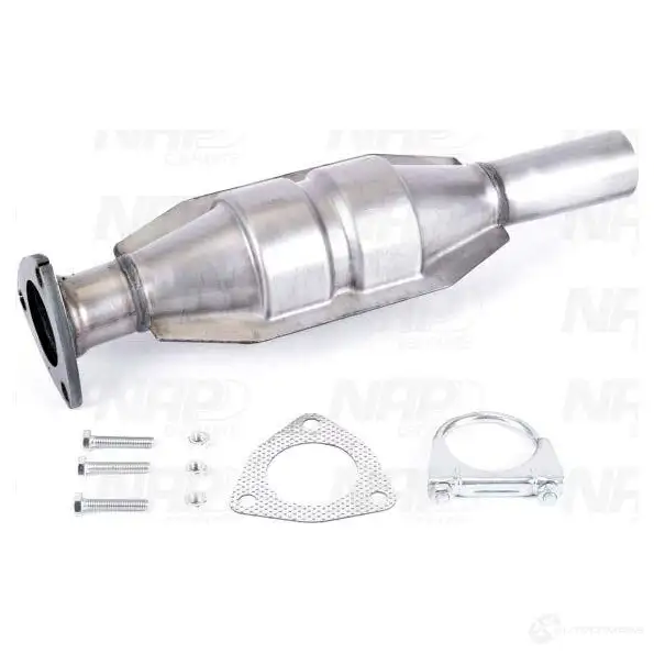 Катализатор NAP CARPARTS cak10243 1437614048 H27 5N7