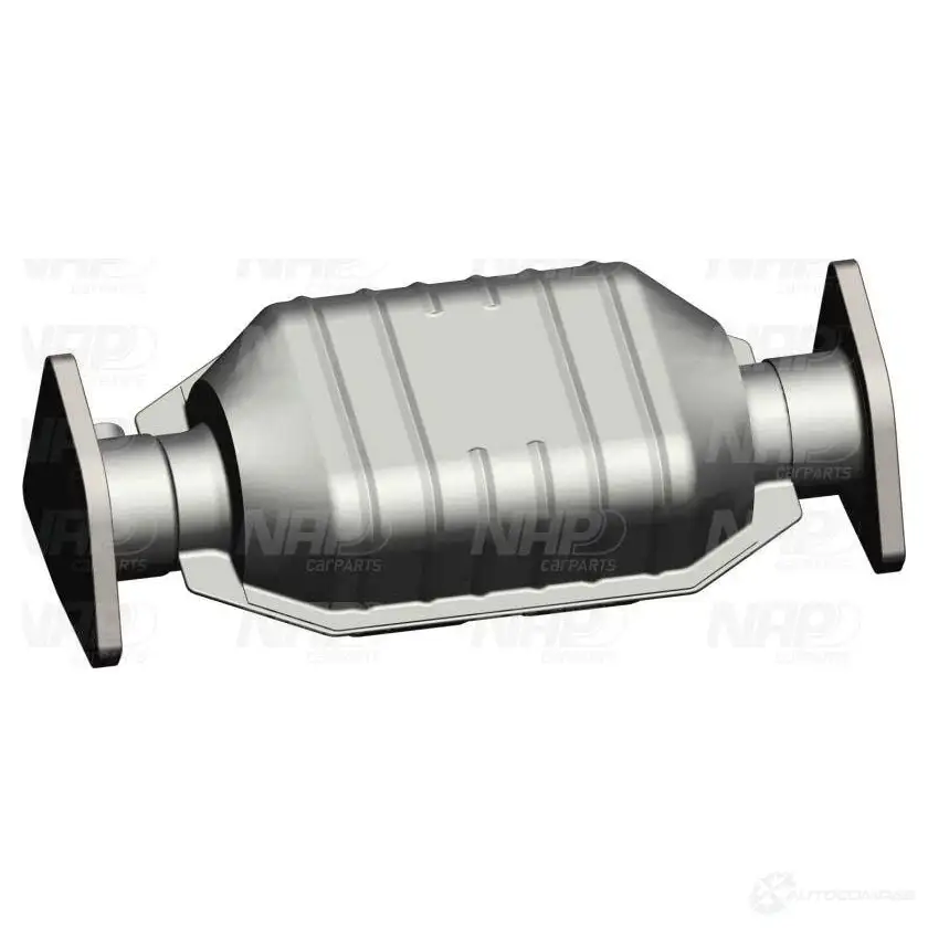 Катализатор NAP CARPARTS cak10642 1437614367 I 1UEL