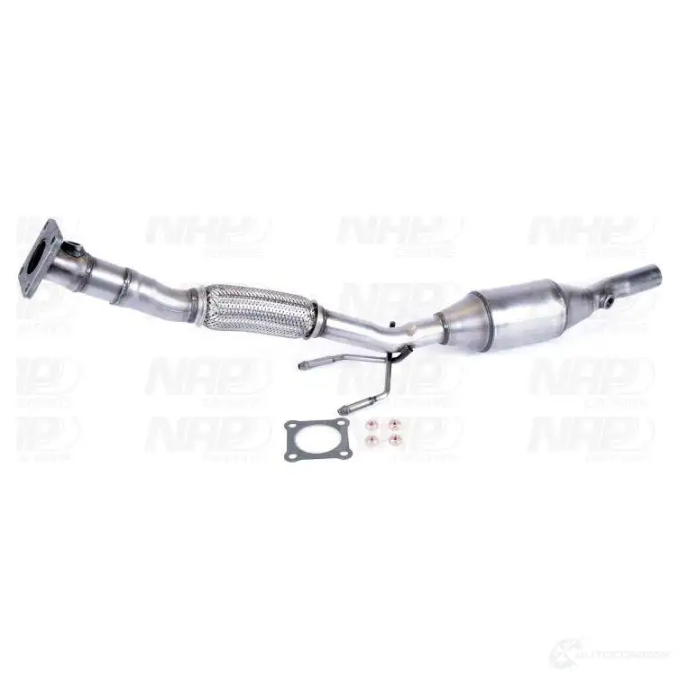 Катализатор NAP CARPARTS cak10755 1437613983 SDB7G 9K