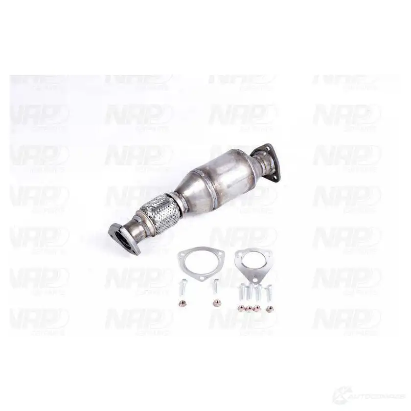 Катализатор NAP CARPARTS 1437609085 cak10025 FQ4F HYJ изображение 0