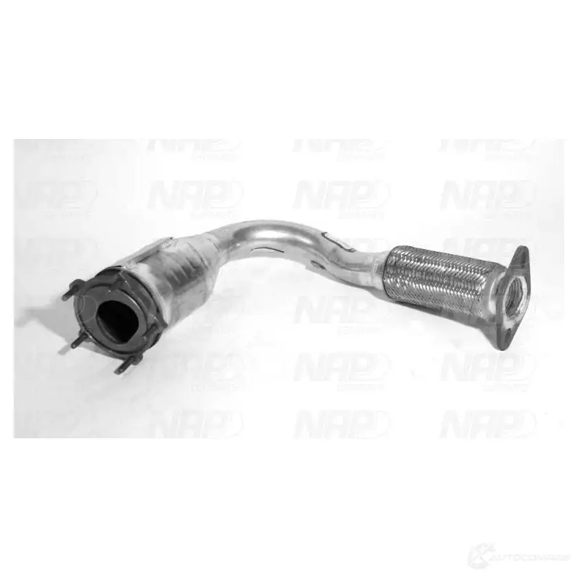 Катализатор NAP CARPARTS 1437613672 FN15 J cak10255