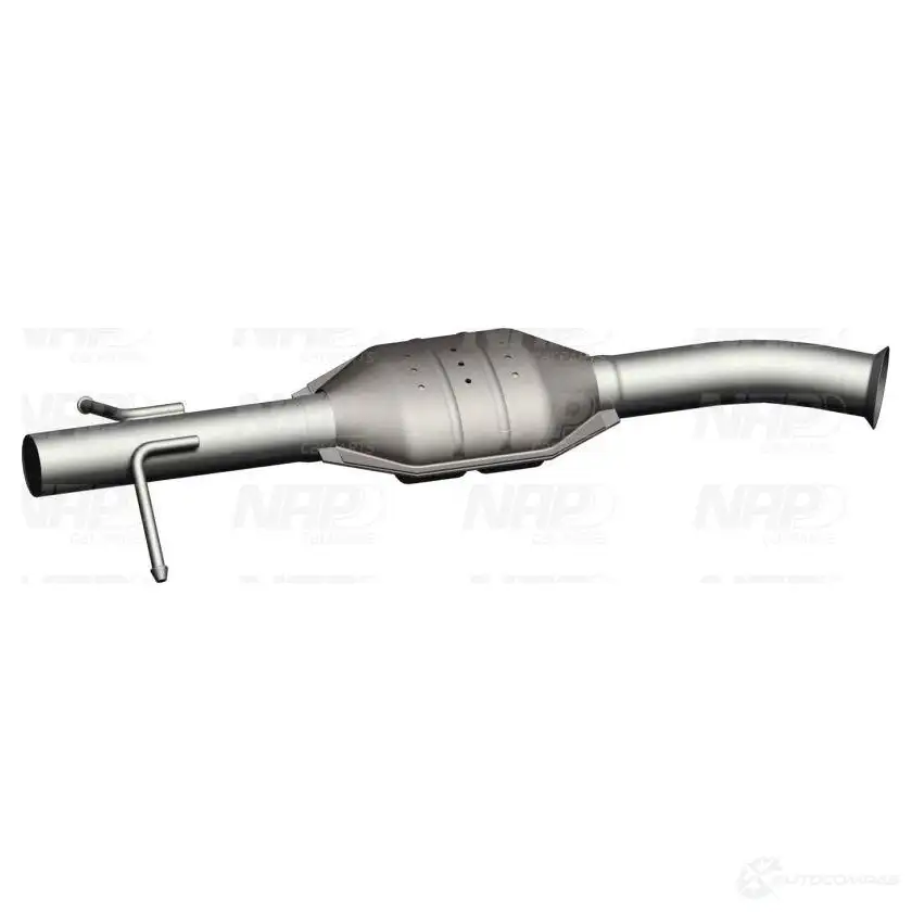 Катализатор NAP CARPARTS cak10631 1437613743 PO5 MV