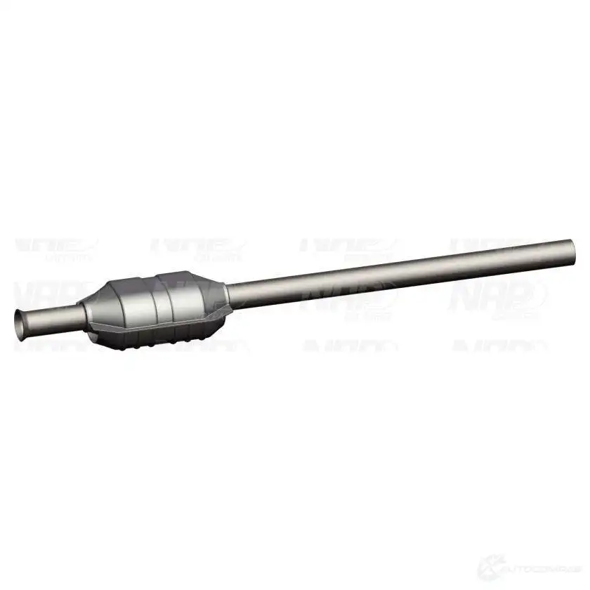 Катализатор NAP CARPARTS PLF9 W4 1437605367 cak10115