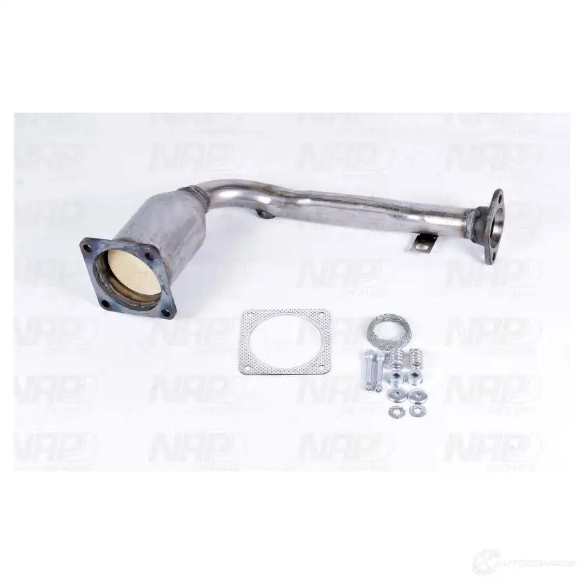 Катализатор NAP CARPARTS Y QEW7 1437607840 cak10474