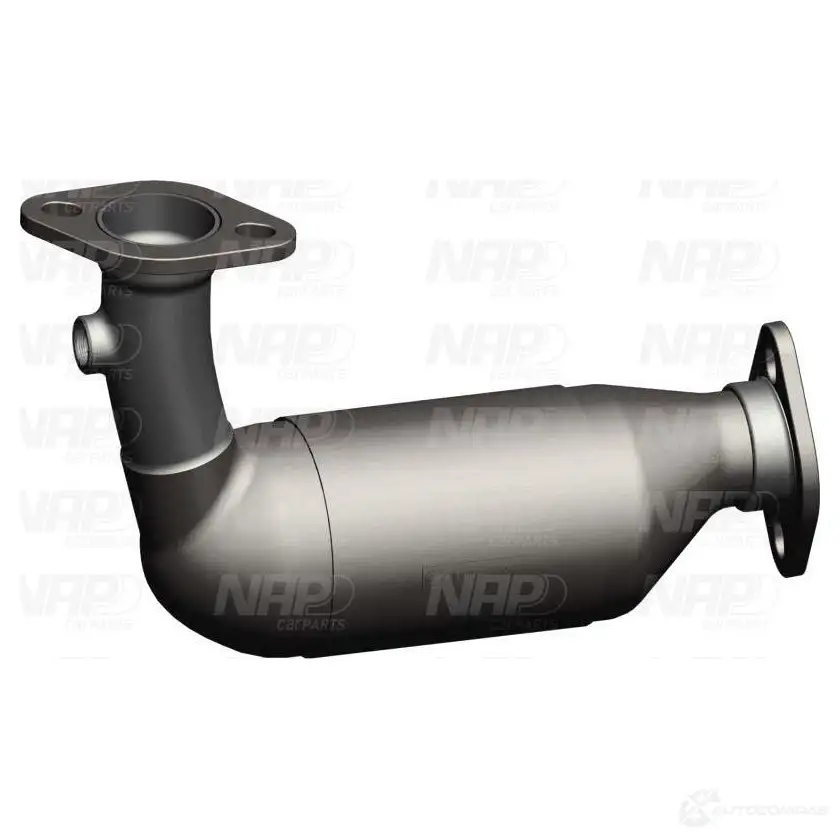 Катализатор NAP CARPARTS 58 RMDG2 1437614344 cak10696