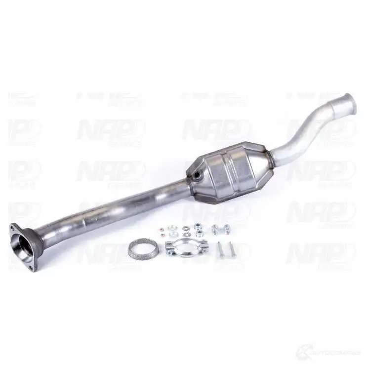 Катализатор NAP CARPARTS cak10529 1437607859 1L9D PR