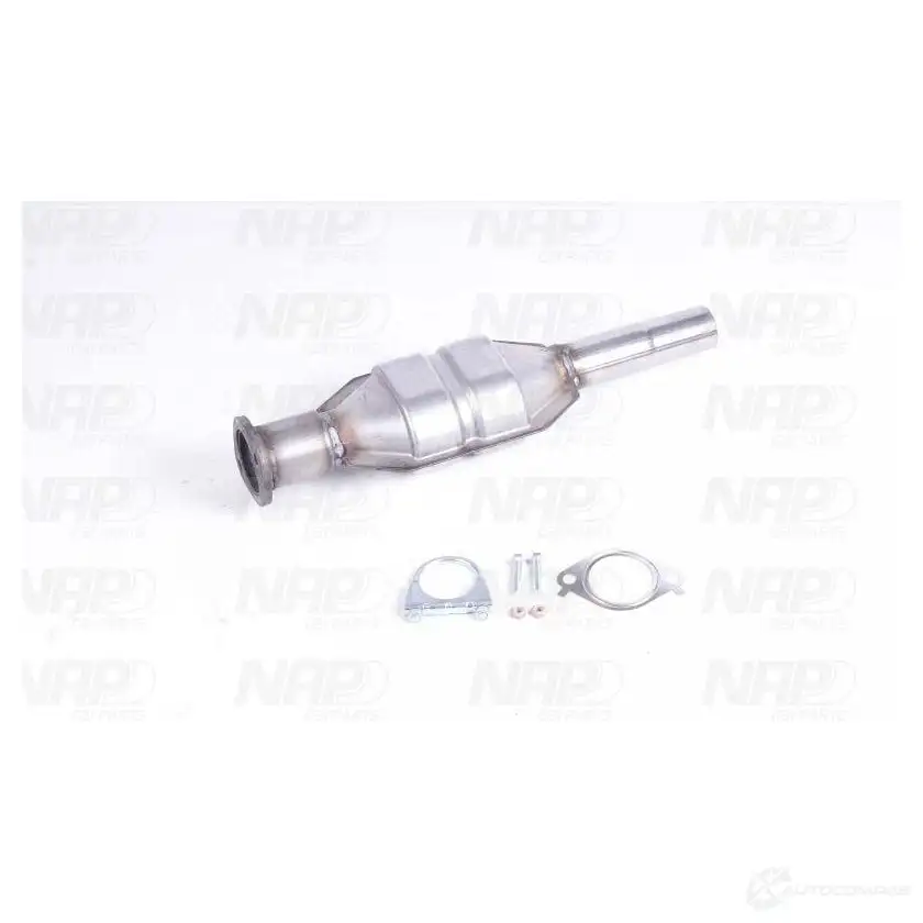 Катализатор NAP CARPARTS 23E ASTQ cak10813 1437607833