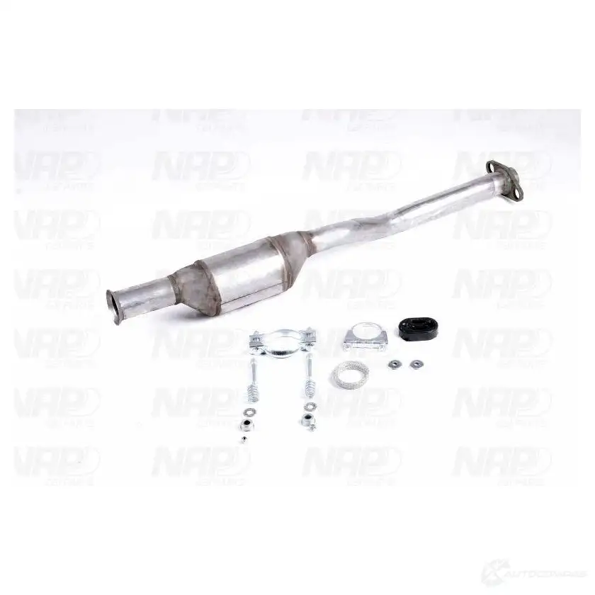 Катализатор NAP CARPARTS cak10161 1437607844 CF GR74C