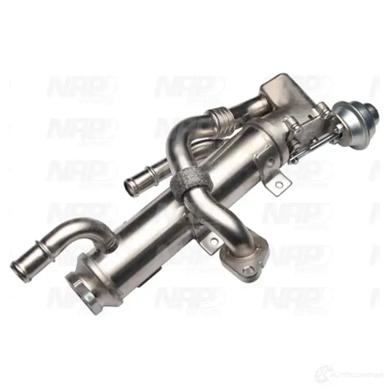 Клапан ЕГР NAP CARPARTS 1438722534 cpa13102 R98QH L