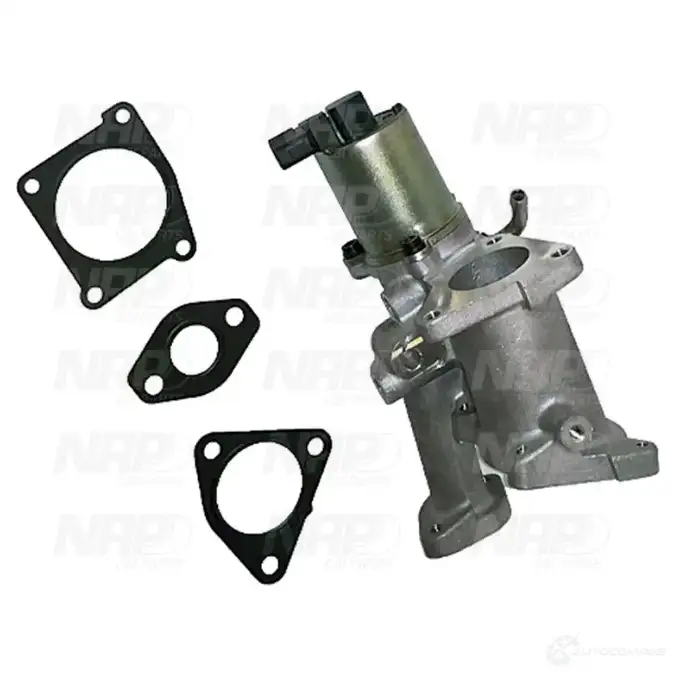 Клапан ЕГР NAP CARPARTS 1438722542 4E RKO2H cpa13075