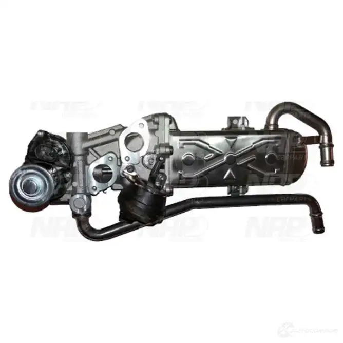 Клапан ЕГР NAP CARPARTS cpl25012 1438722555 JYRRJ 82