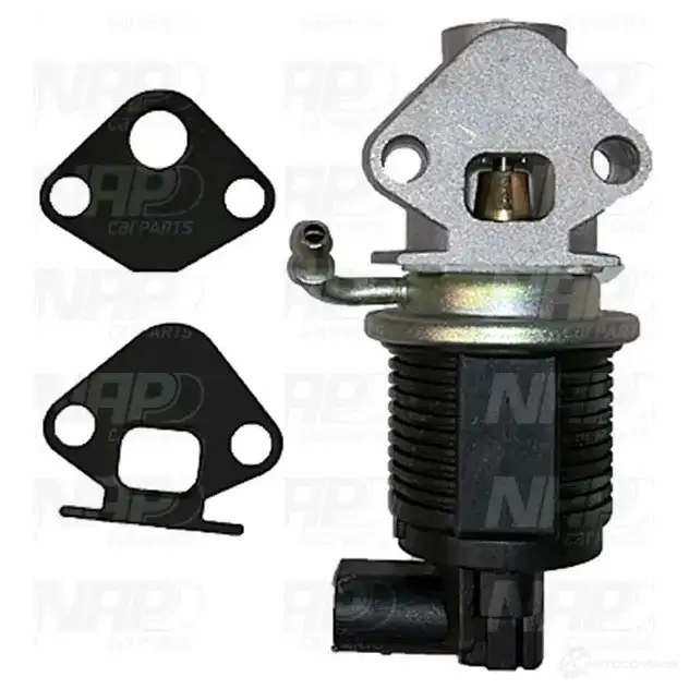 Клапан ЕГР NAP CARPARTS GW0 PGP 1438722581 cpa13000