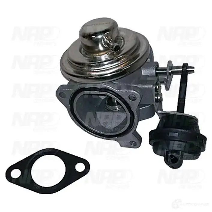 Клапан ЕГР NAP CARPARTS cpa13020 T BBGKY 1438722614