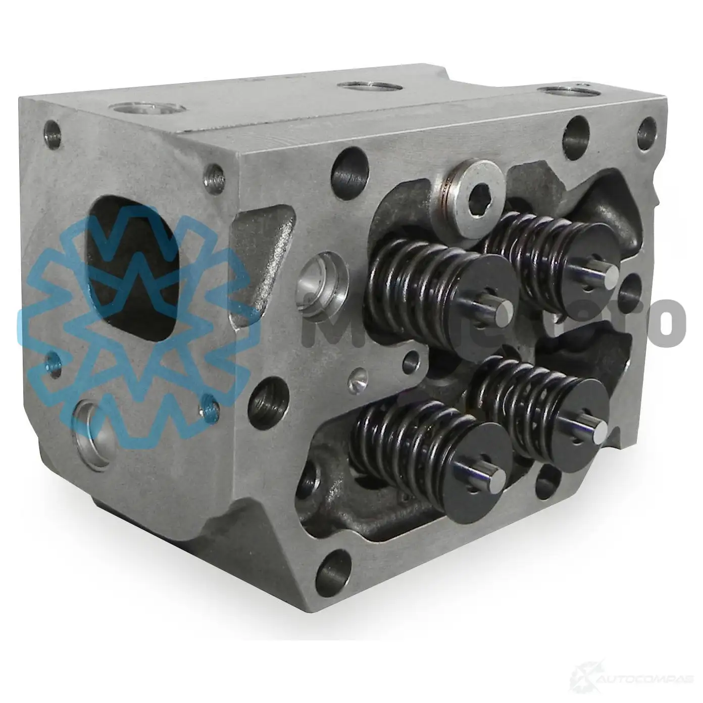Головка блока цилиндров MONEDERO 9L3VT Q 20012100010 1437629187