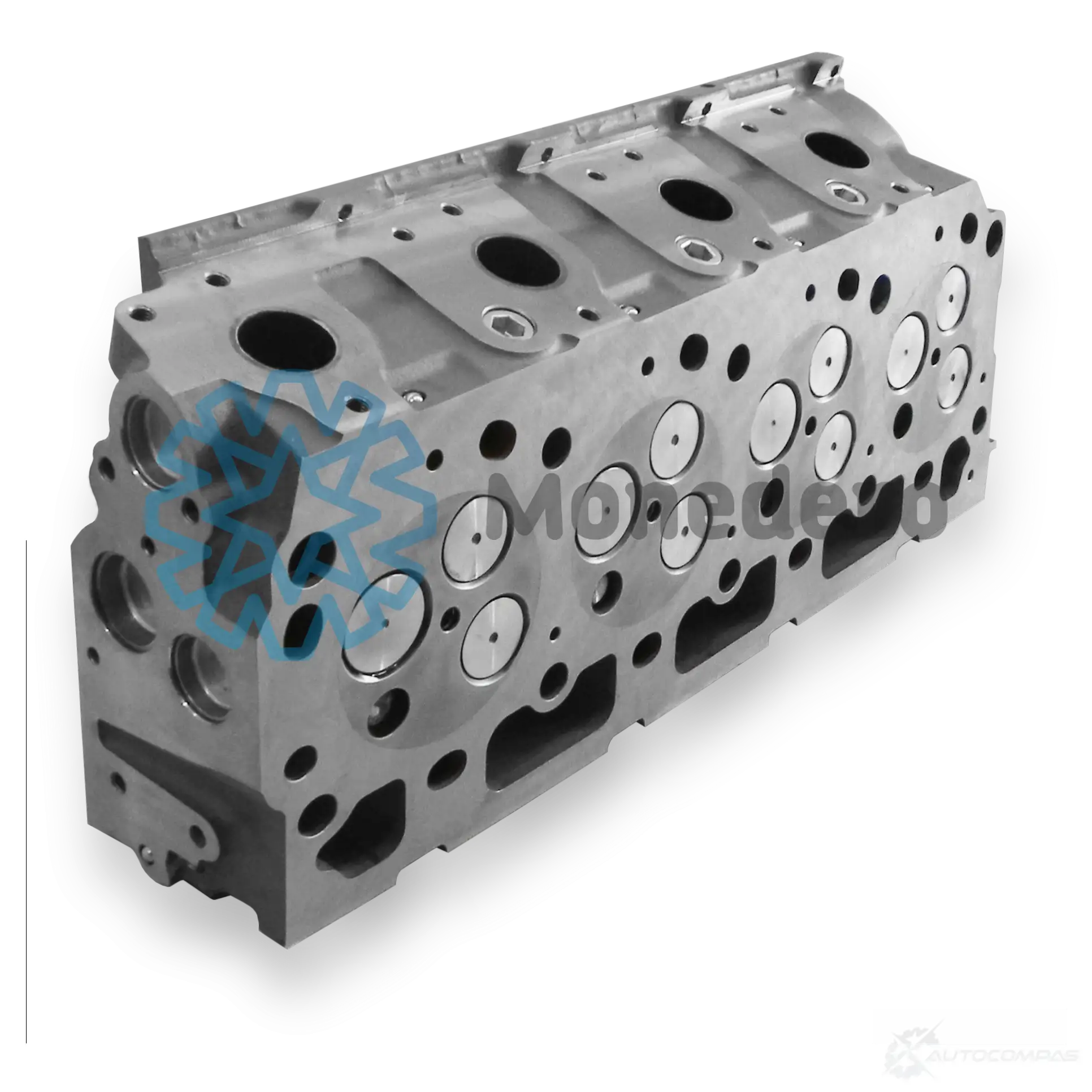 Головка блока цилиндров MONEDERO 1437629230 W5CC LV 10012100006