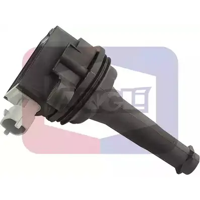 Катушка зажигания ANGLI QJO60 I 3VPIGY 1227833295 15153 изображение 0