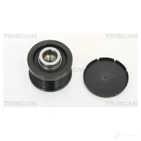 Обгонная муфта генератора TRISCAN ORRXY GS 1150958 8641244001 5709147948736