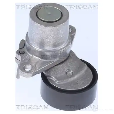 Натяжитель приводного ремня TRISCAN 8641293056 AB7 4N 1437844891