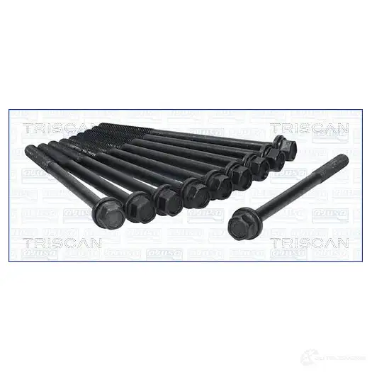Болты ГБЦ, головки блока цилиндров TRISCAN 981716 Y VNJPN8 5710476112828 1161372