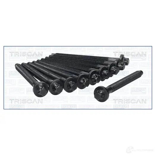 Болты ГБЦ, головки блока цилиндров TRISCAN Y 04NA 987001 1437852356