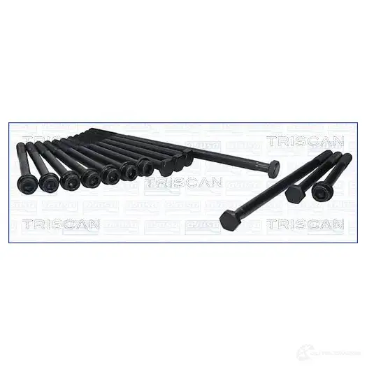 Болты ГБЦ, головки блока цилиндров TRISCAN 8427769468001 1161527 986005 QSSI 4Y