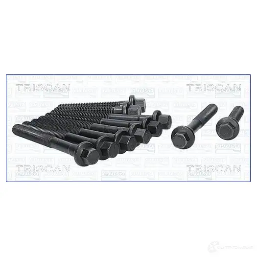 Болты ГБЦ, головки блока цилиндров TRISCAN FYYG M 1161571 988005 8427769317798