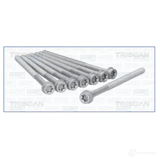 Болты ГБЦ, головки блока цилиндров TRISCAN P1ES 5T3 5710476254788 987519 1161567