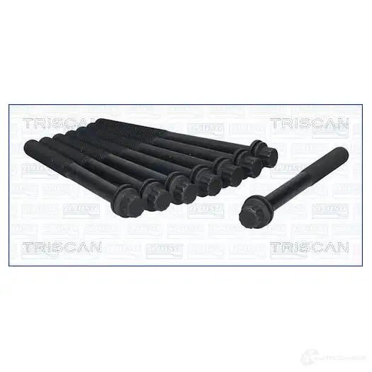 Болты ГБЦ, головки блока цилиндров TRISCAN 987002 1437852351 E6Q XCM