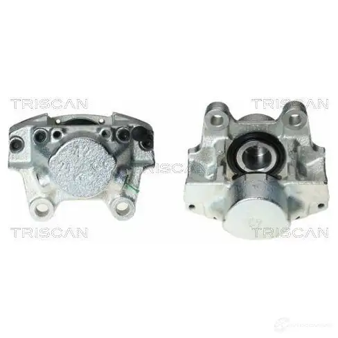 Тормозной суппорт TRISCAN DMC2P P 8170343338 1132649