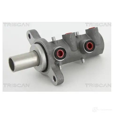 Главный тормозной цилиндр TRISCAN EPJZ NCN 5710476216199 813010124 1120441