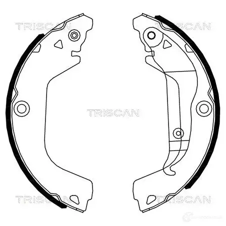 Барабанные тормозные колодки, комплект TRISCAN 5710476208897 810021002 1114859 B3GW D