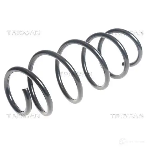Пружина TRISCAN 7394410129202 RG WMW1 1155514 875015199