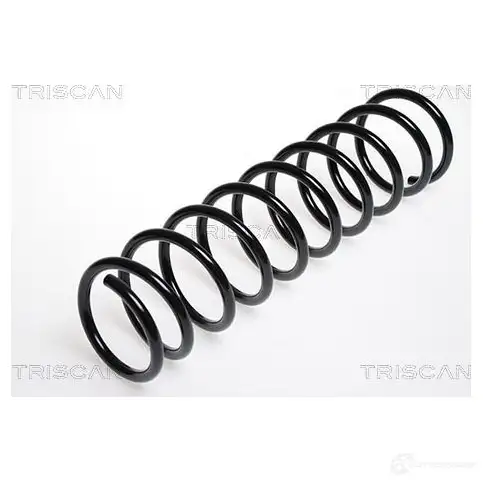 Пружина TRISCAN 87502519 7394410011644 1156398 ABST X