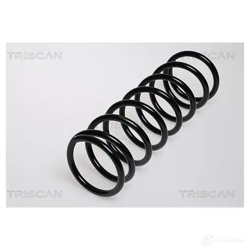 Пружина TRISCAN V ISNC 87501639 1155746 7394410001119