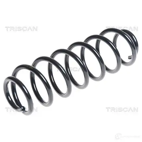 Пружина TRISCAN 7394410123101 8 H9VG 1157134 875029300