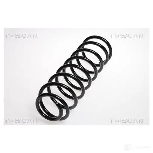 Пружина TRISCAN 7394410102854 TAV FQ 1155658 875016054