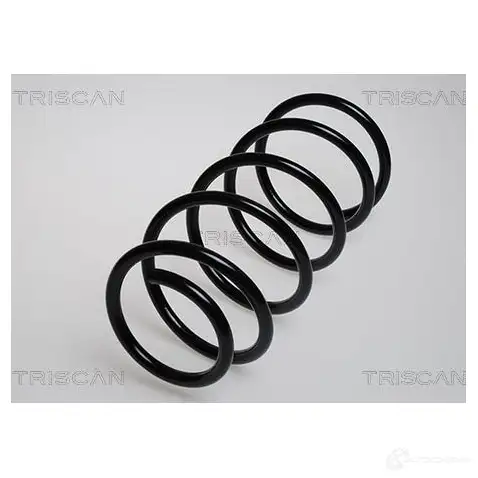 Пружина TRISCAN 7394410002383 87502453 19 FKP 1156321